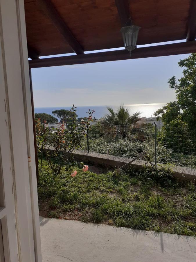 Bed and Breakfast La Terrazzina Sul Tramonto Forio di Ischia Exteriér fotografie