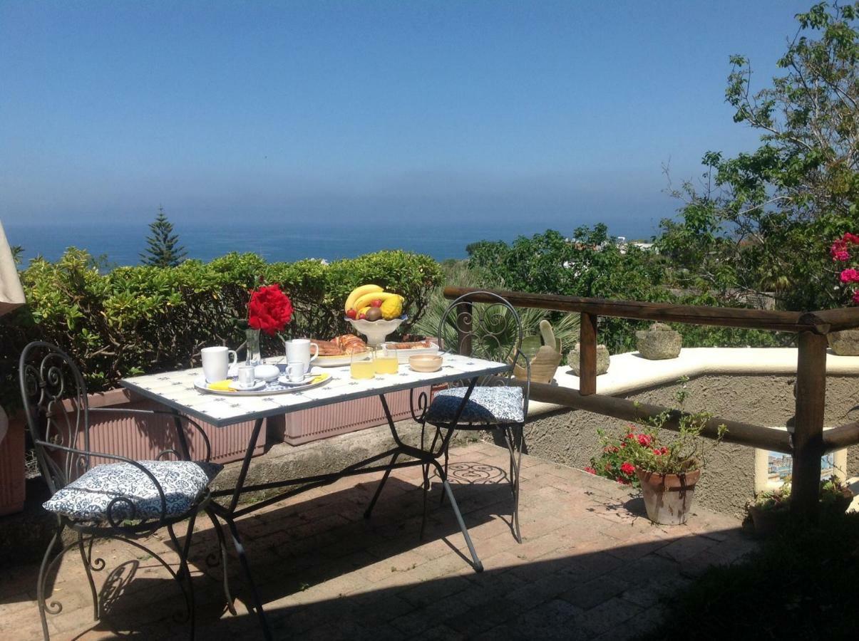Bed and Breakfast La Terrazzina Sul Tramonto Forio di Ischia Exteriér fotografie