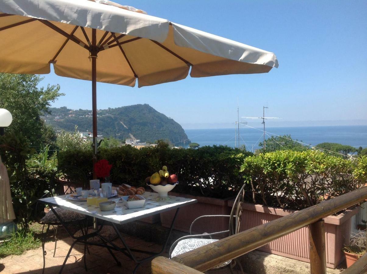 Bed and Breakfast La Terrazzina Sul Tramonto Forio di Ischia Exteriér fotografie