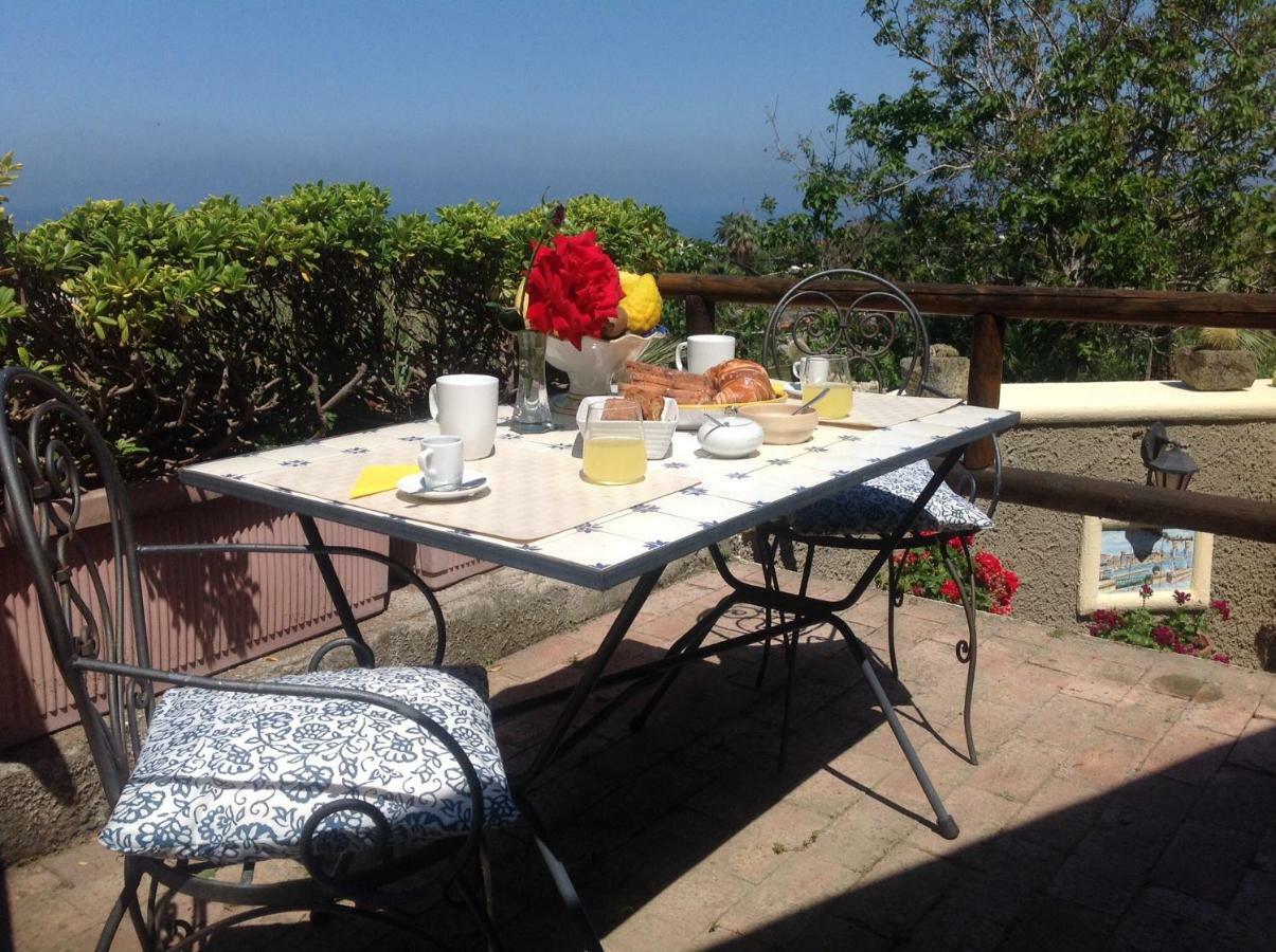 Bed and Breakfast La Terrazzina Sul Tramonto Forio di Ischia Exteriér fotografie