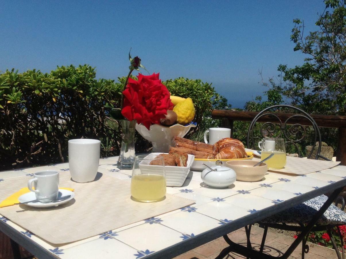 Bed and Breakfast La Terrazzina Sul Tramonto Forio di Ischia Exteriér fotografie